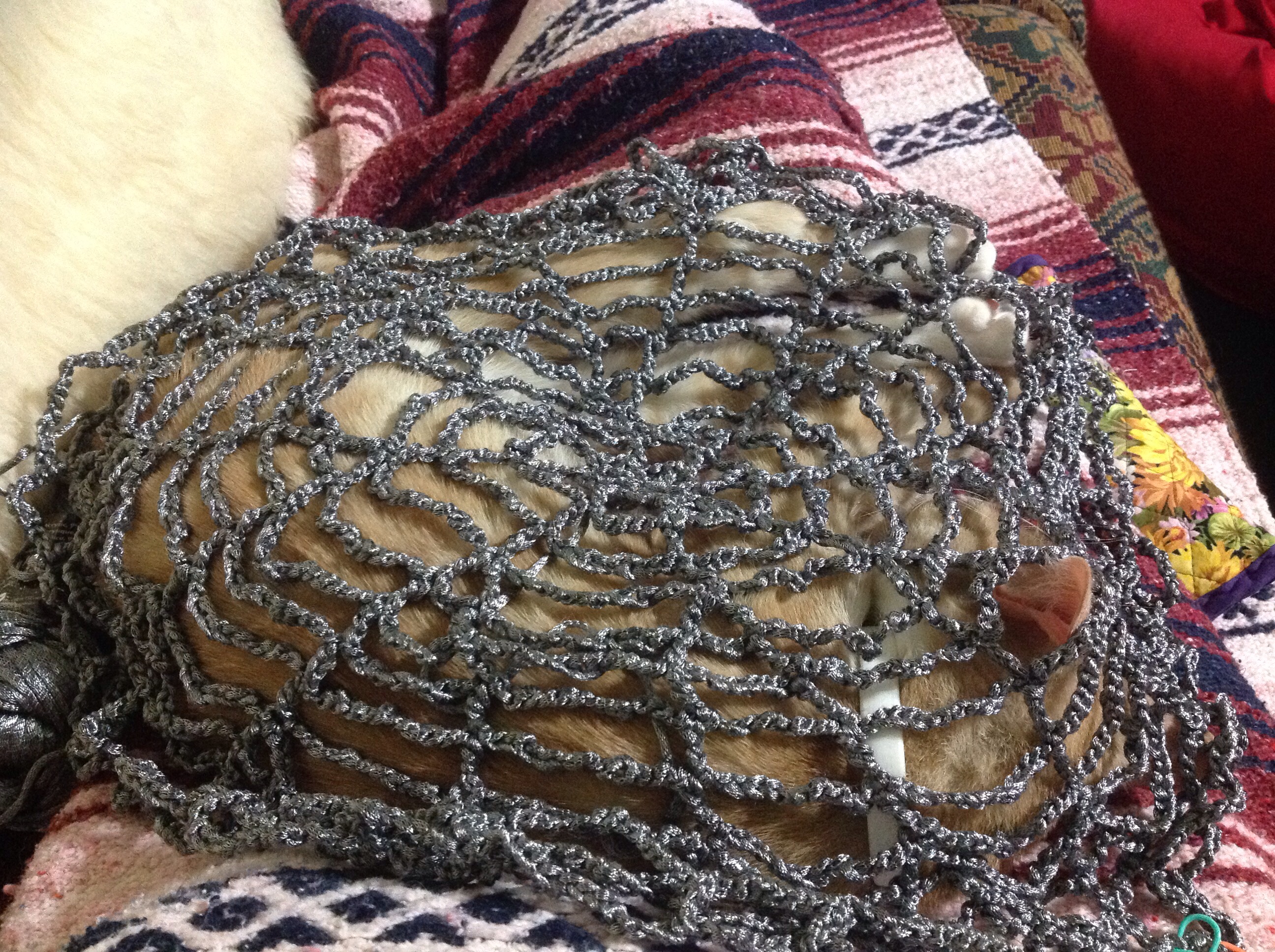 Big crochet web!